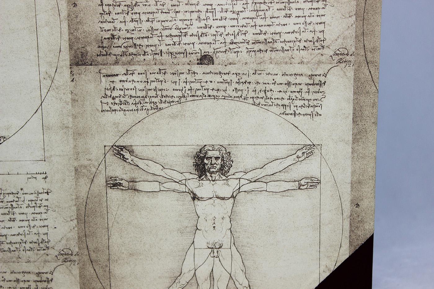 b2-gaestebuecher-halbleder-leonardo-da-vinci-66-bild_07