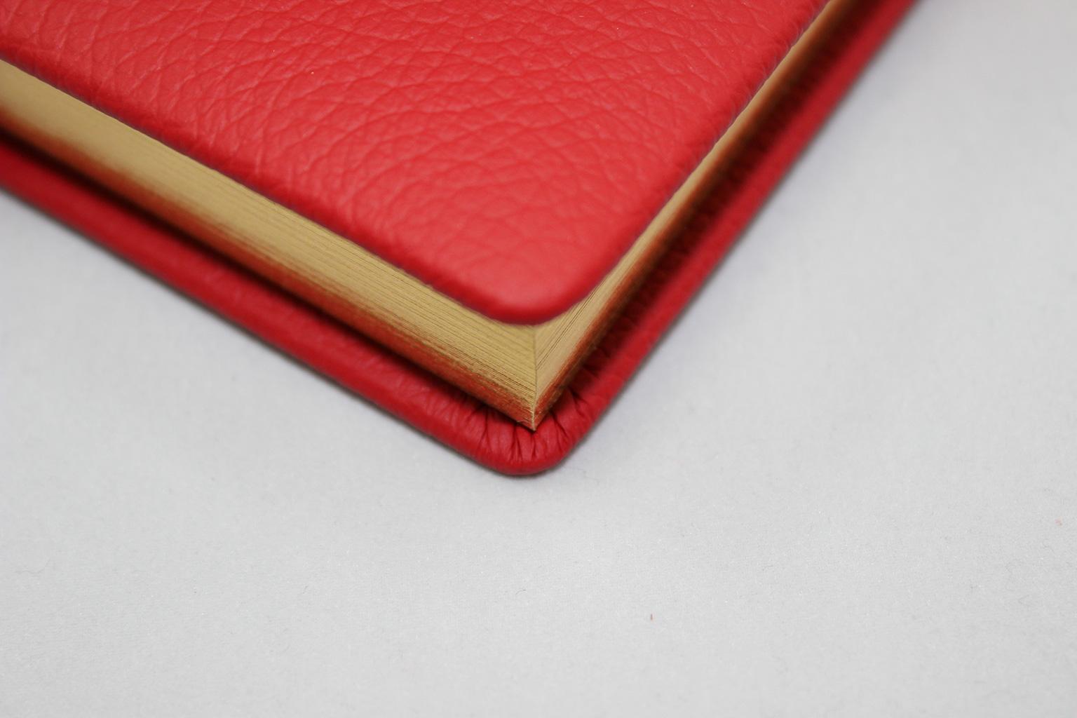 d3-poesie-tagebuch-gen-vollrindleder-16-bild_07