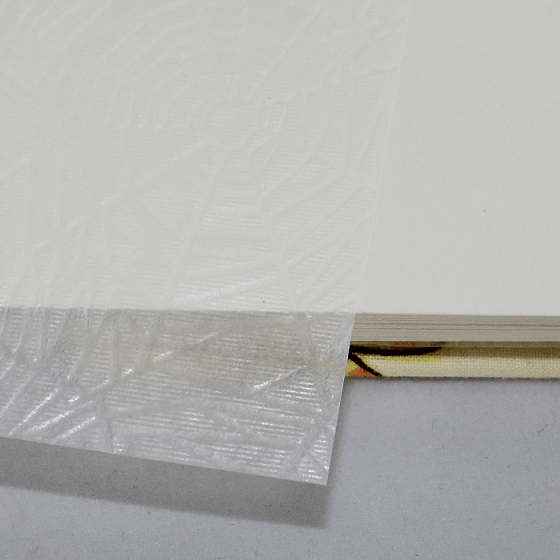 Fotokordel Album Farfalle Pergaminpapier