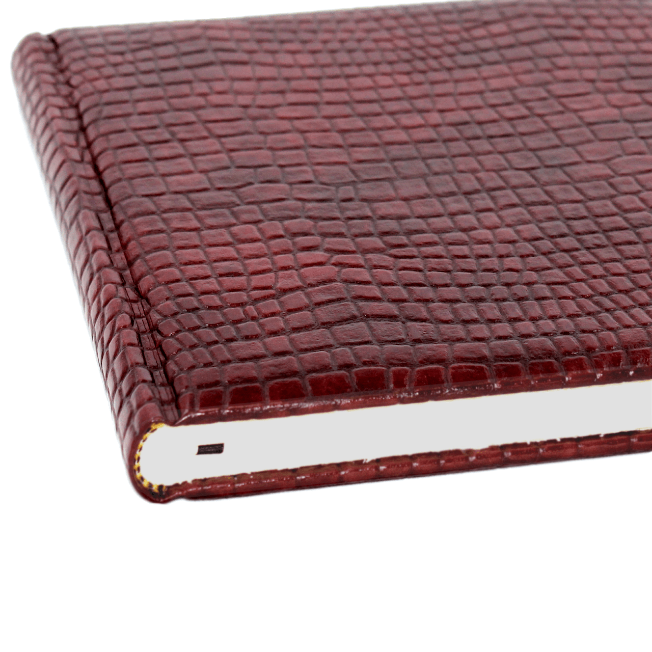 Gästebuch Kroko mit gerundetem Buchrücken