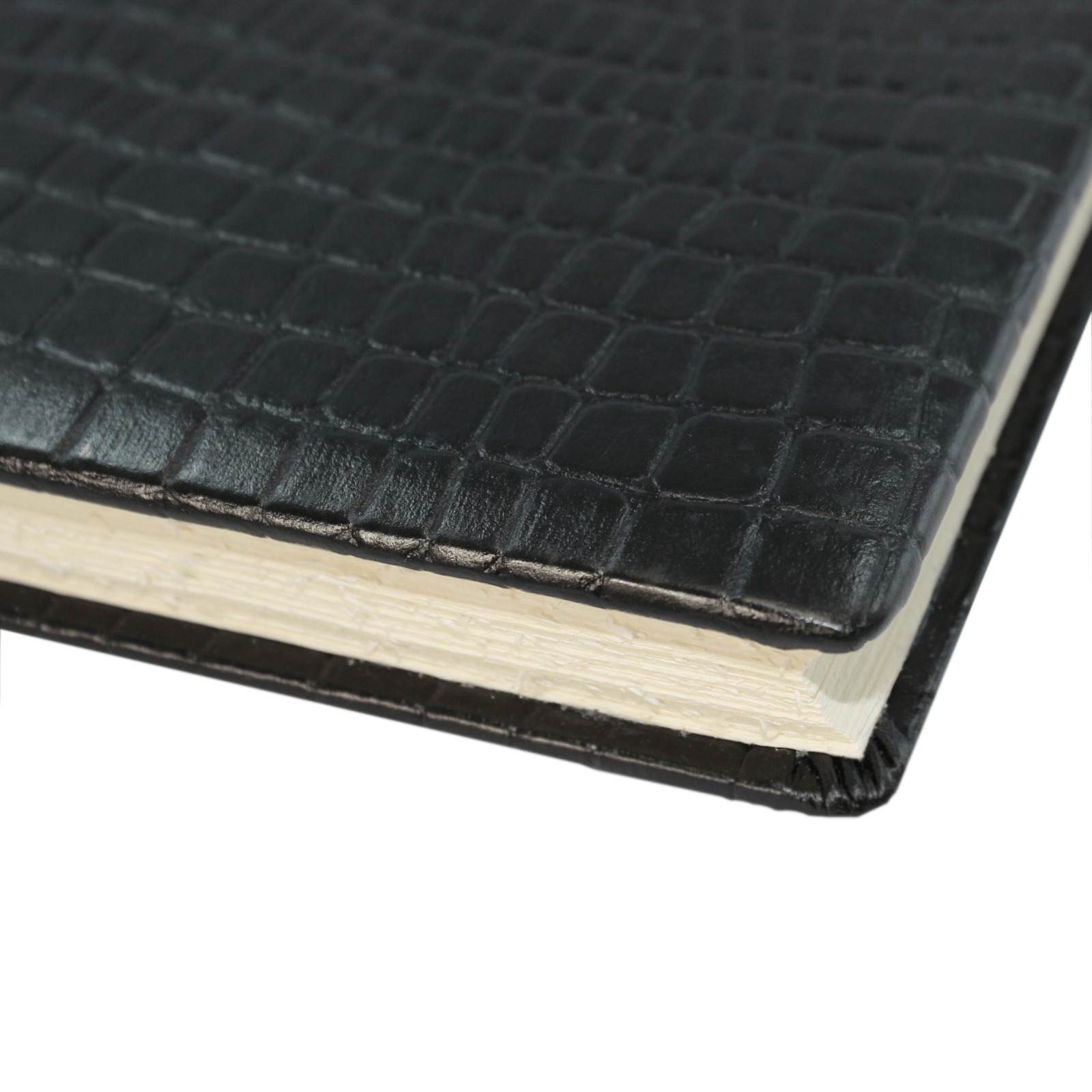 Gästebuch Kroko schwarz