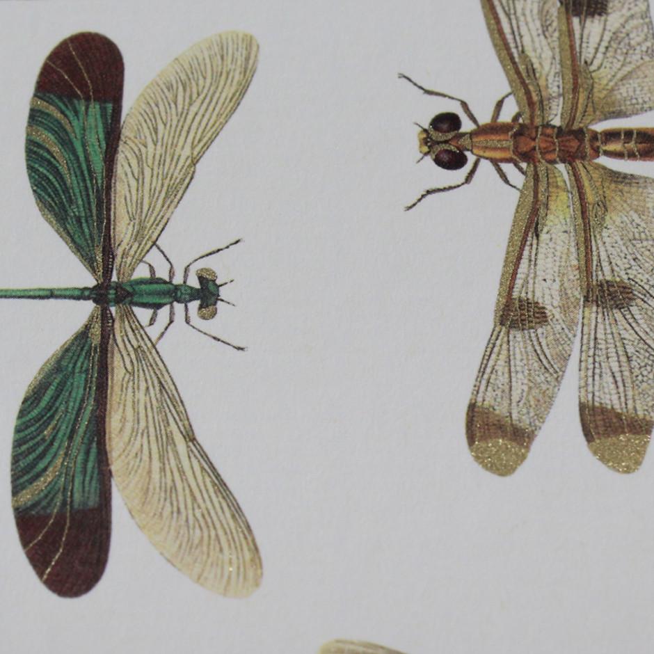 Fotoalbum Libellule Halbleder