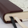 Gästebuch Schrittura Halbleder
