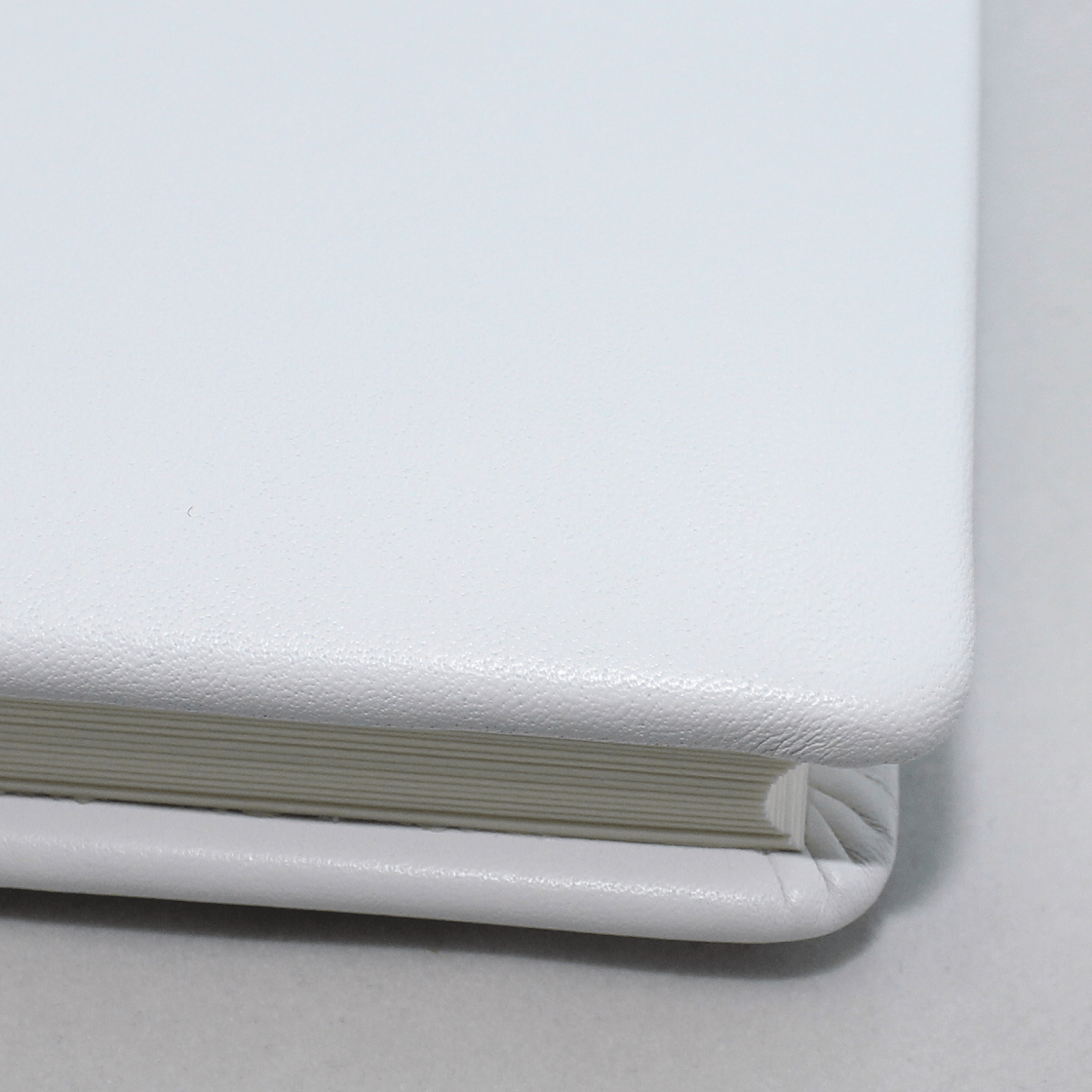 Foto-Gästebuch Zeus aus weißem Vollrindleder