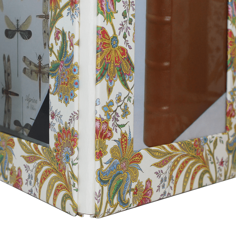 Fotorellos Ciprio hochkant