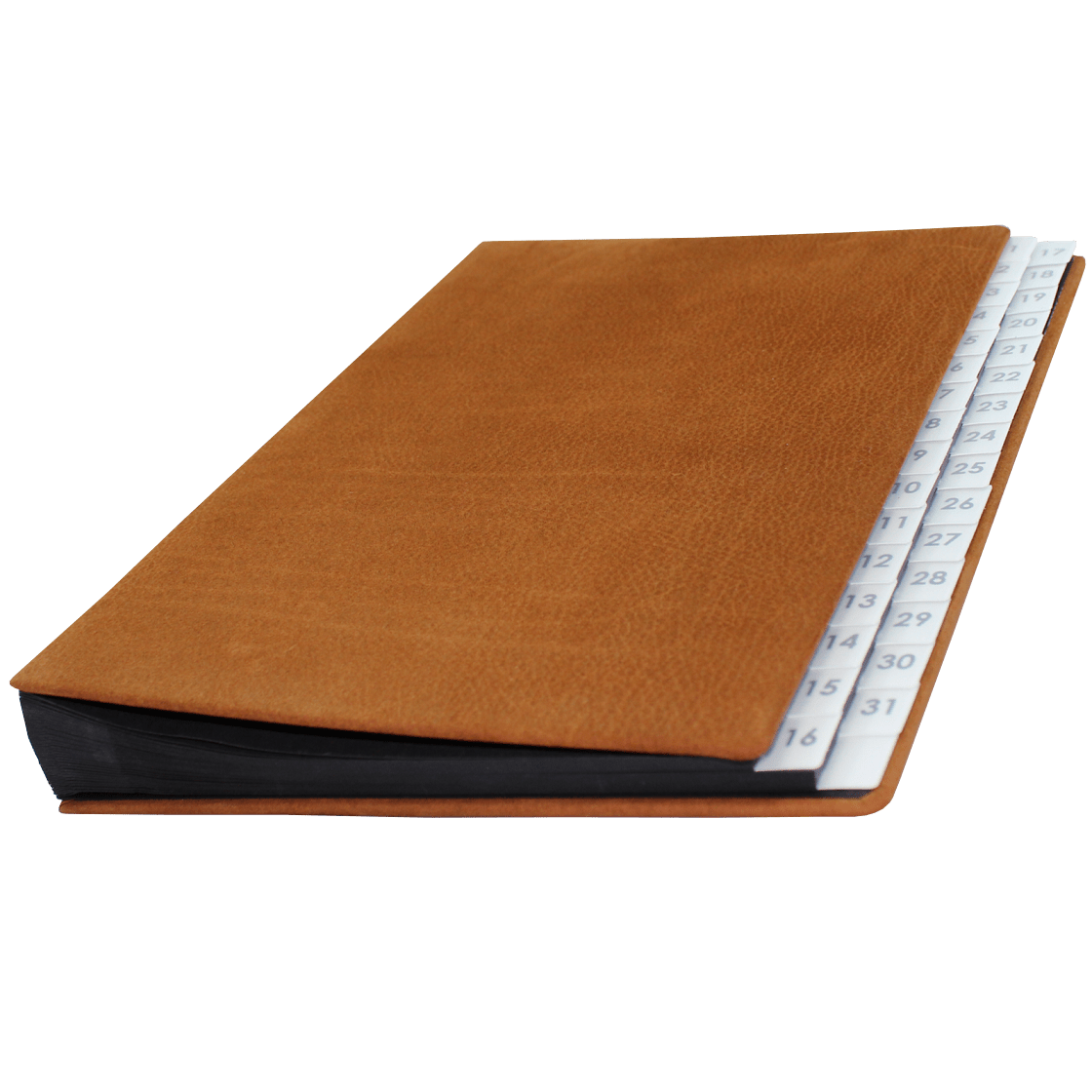 Pultordner Nubukleder mit Registern 1-31