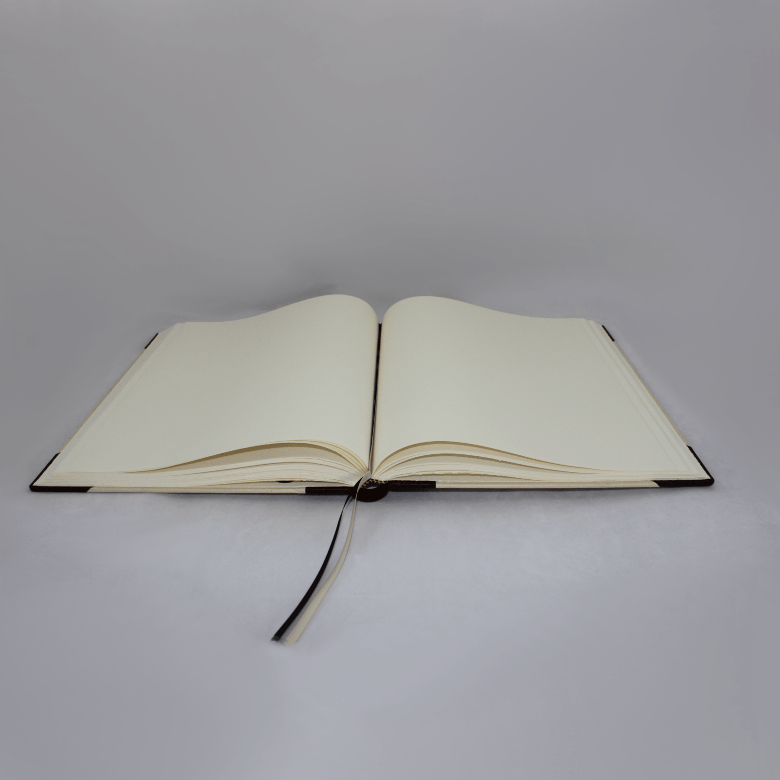 Gästebuch Elefantenhaut offen Gästebuch Halbleder mit Elefantenhaut