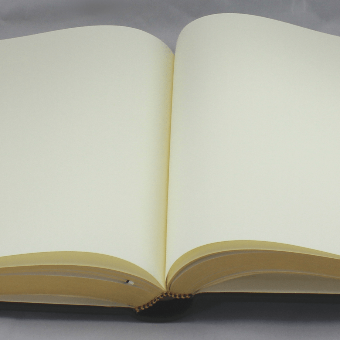 Gästebuch dick aus genarbtem grünem Leder mit Goldschnittblock