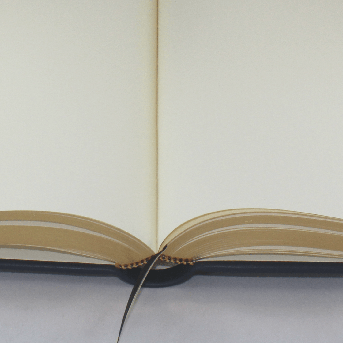 Gästebuch dick aus blauem Leder mit Goldschnittblock und Prägung