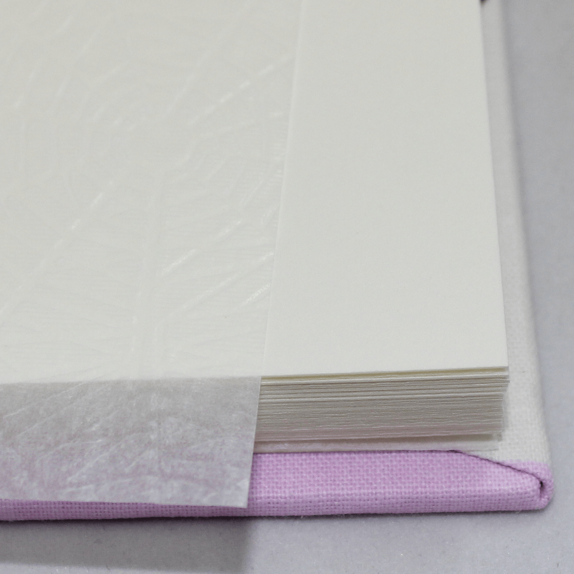 Kinderalbum Teddy rosé mit Kordelbindung