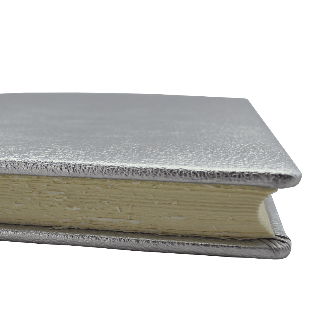 Gästebuch in Silber
