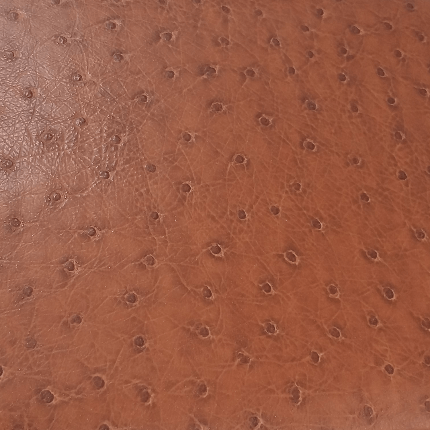 Kalender im Taschenformat in Straußenoptik