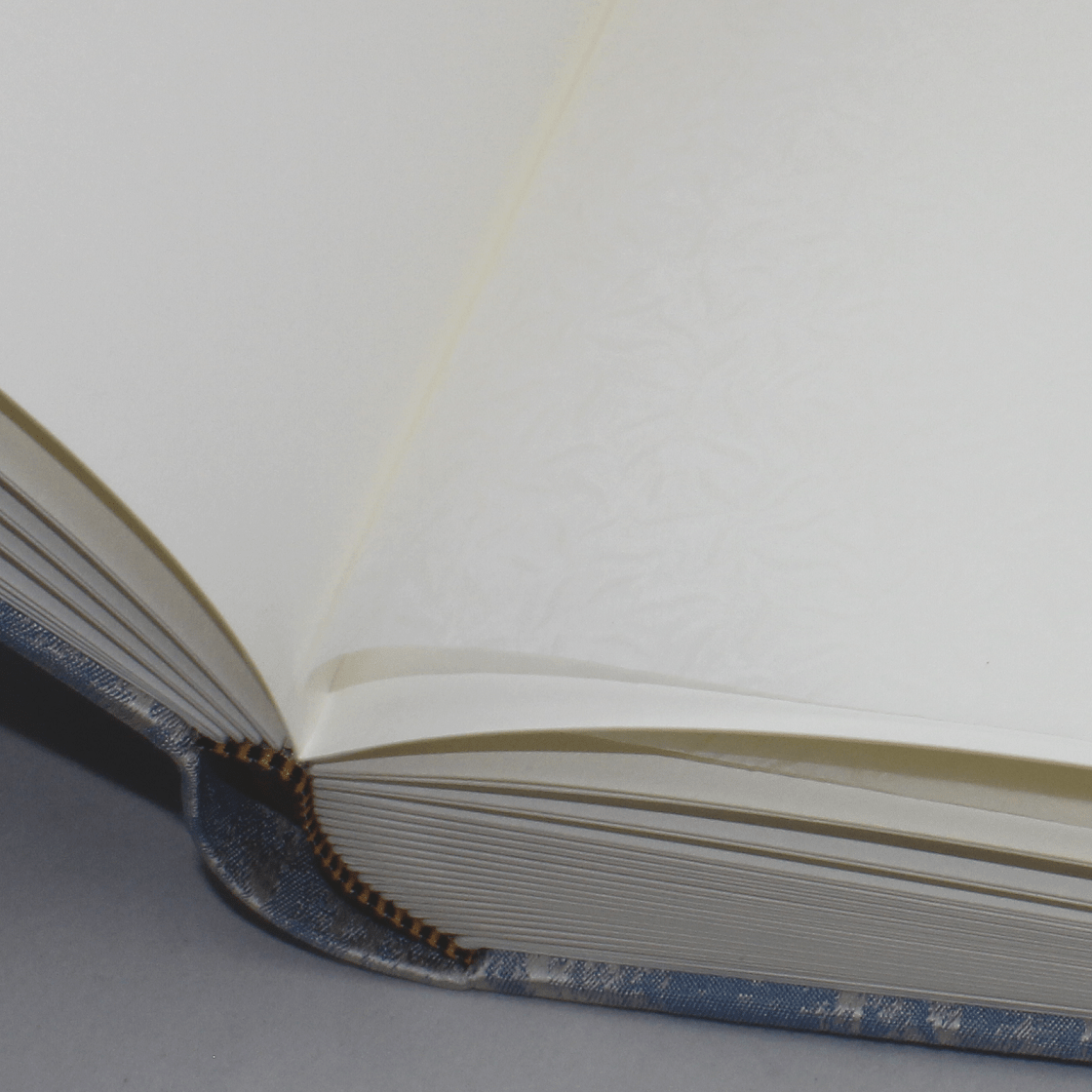 Fotoalbum Anik in Blau