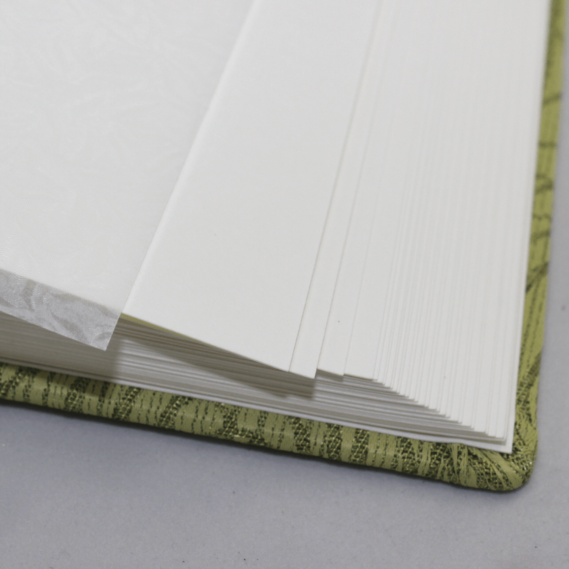 Fotoalbum Rose in Grün