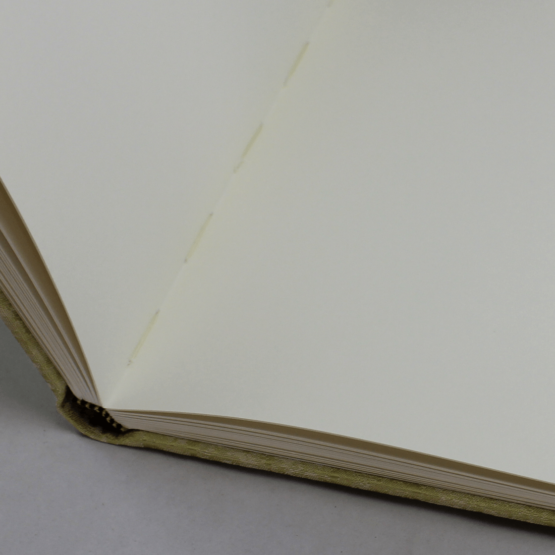 Des.Anik F.9 offen Gästebuch Anik quer in Grün