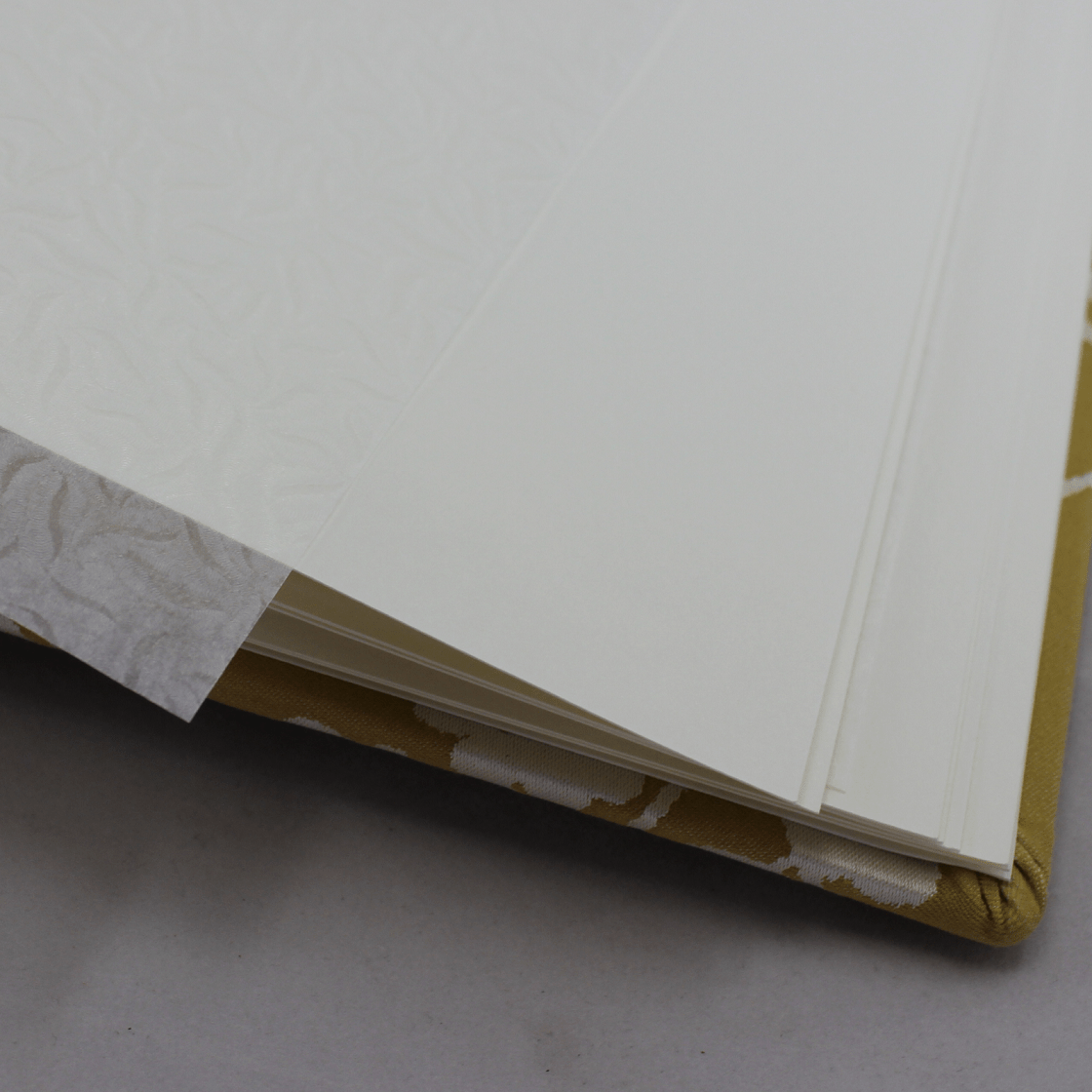 Des.Francis Fotoalbum offen Fotoalbum Francis groß im Seideneinband mit goldenem Webmuster