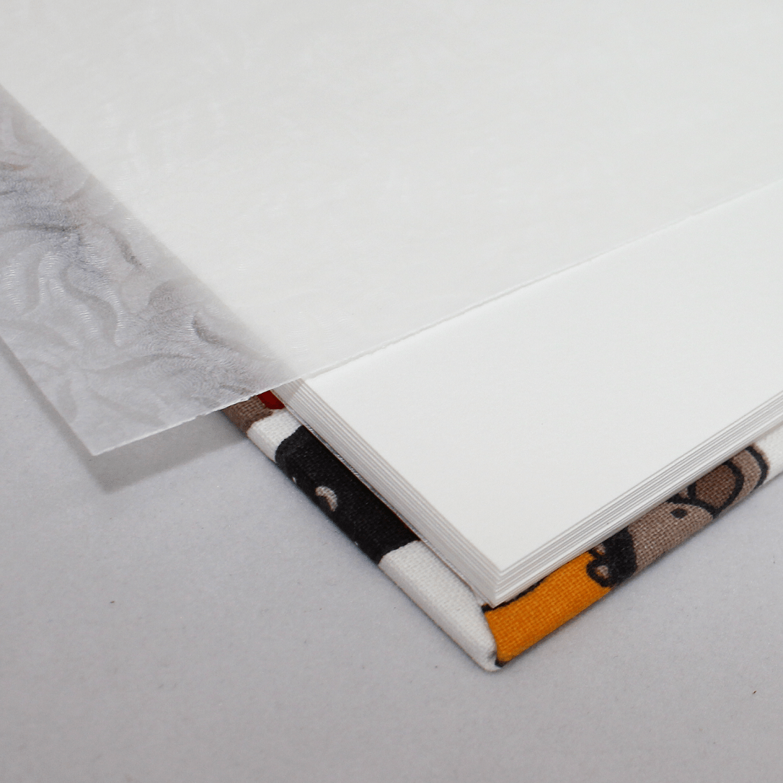 Kinderalbum Krake mit Kordelbindung