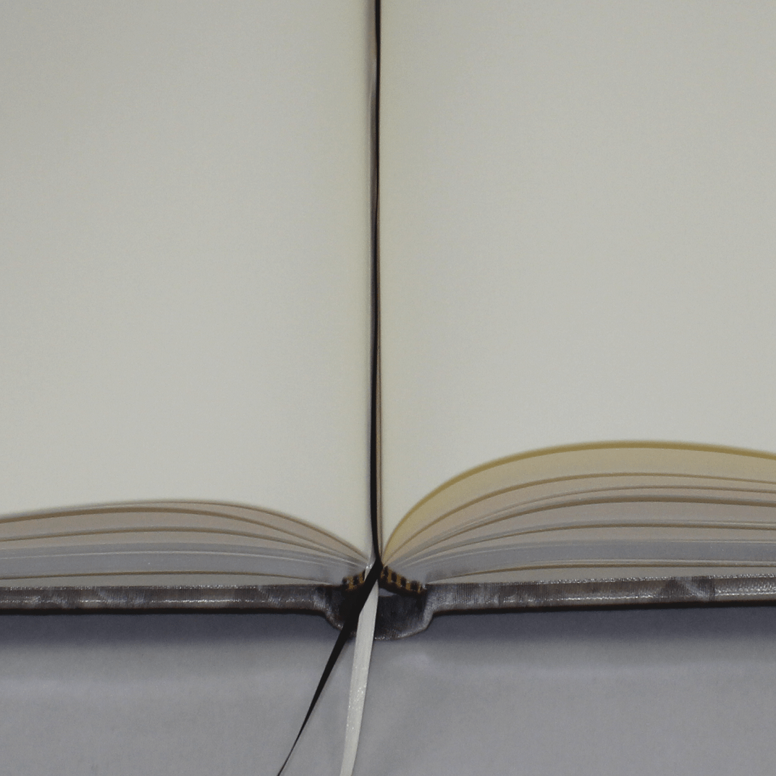 Gästebuch Brillare in Silber