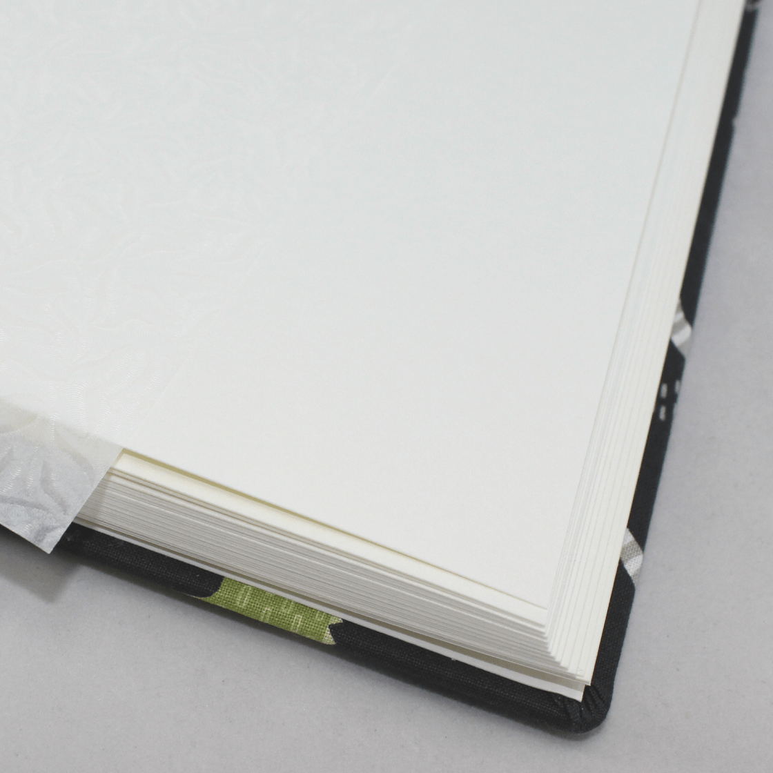 Kinderalbum Krokodil