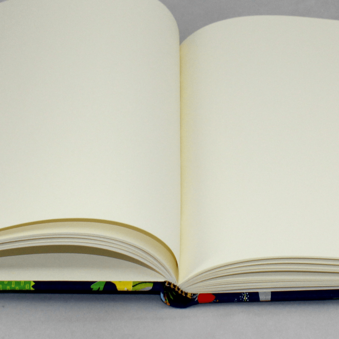 Poesiealbum Tagebuch Krokodil blau