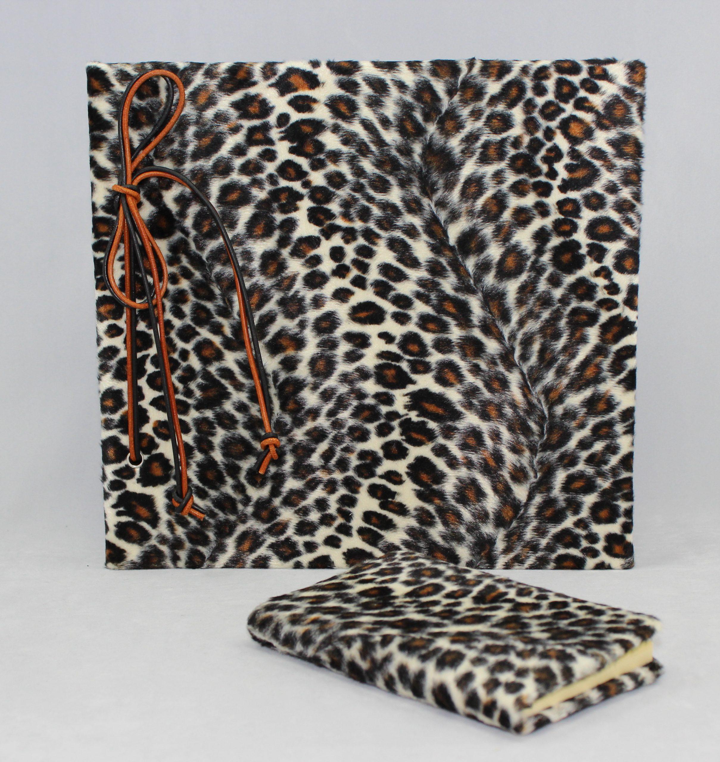 Set Leopard