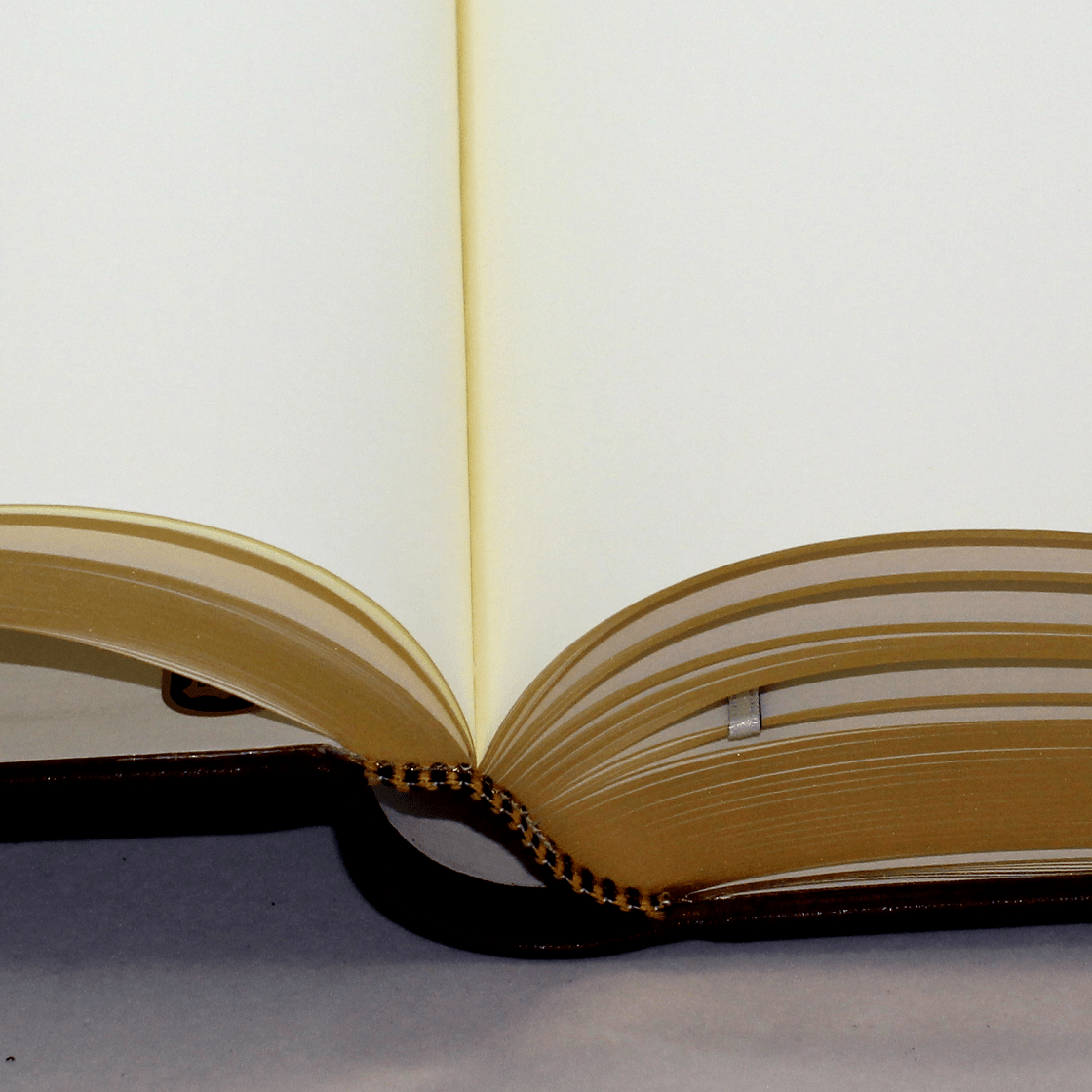 Gästebuch dick aus glattem Leder in Weinrot mit Goldrand Gästebuch dick aus glattem Leder in Weinrot mit Goldschnittblock