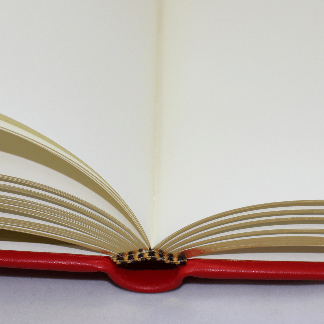 Tagebuch mit Schloss aus glattem rotem Leder mit Goldschnittblock