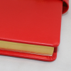 Tagebuch mit Schloss aus glattem rotem Leder mit Goldschnittblock