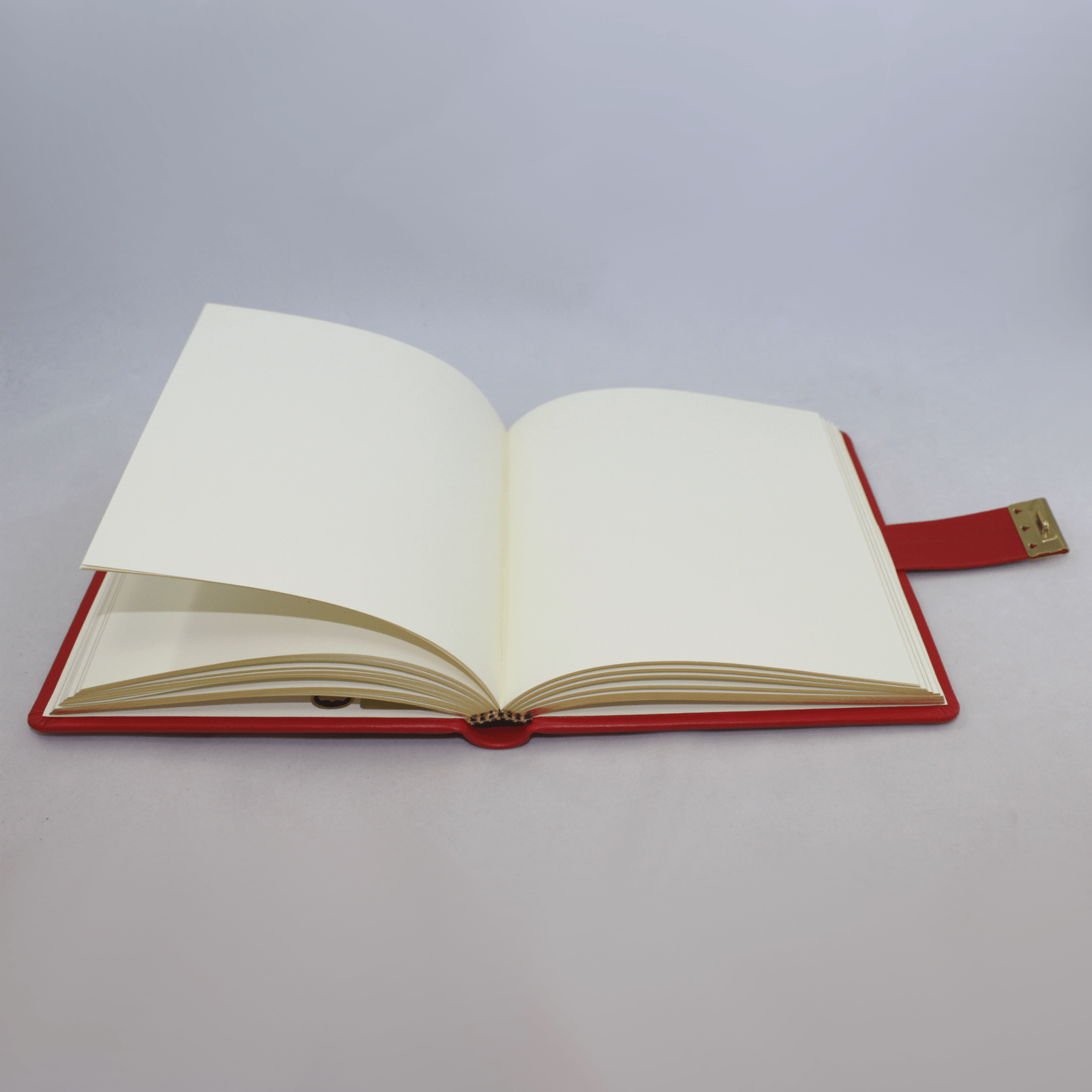 Tagebuch mit Schloss aus glattem rotem Leder mit Goldschnittblock