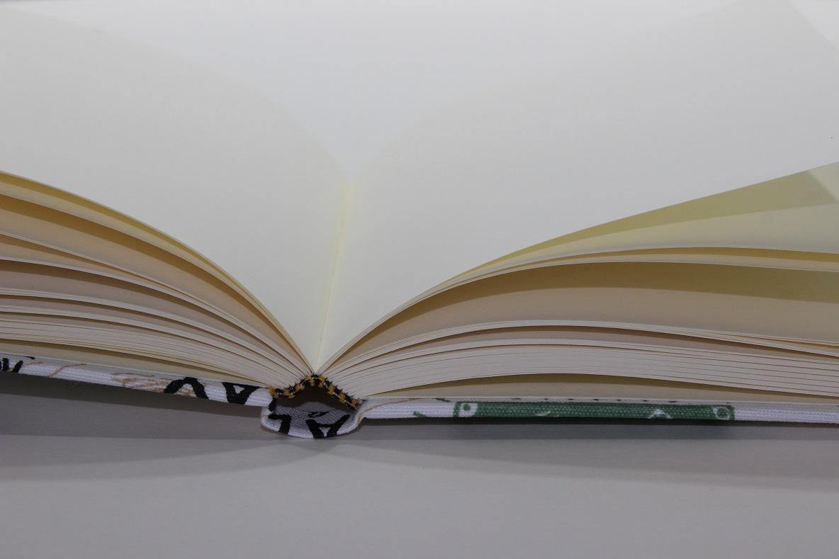 Tagebuch Adventures (4) - klein