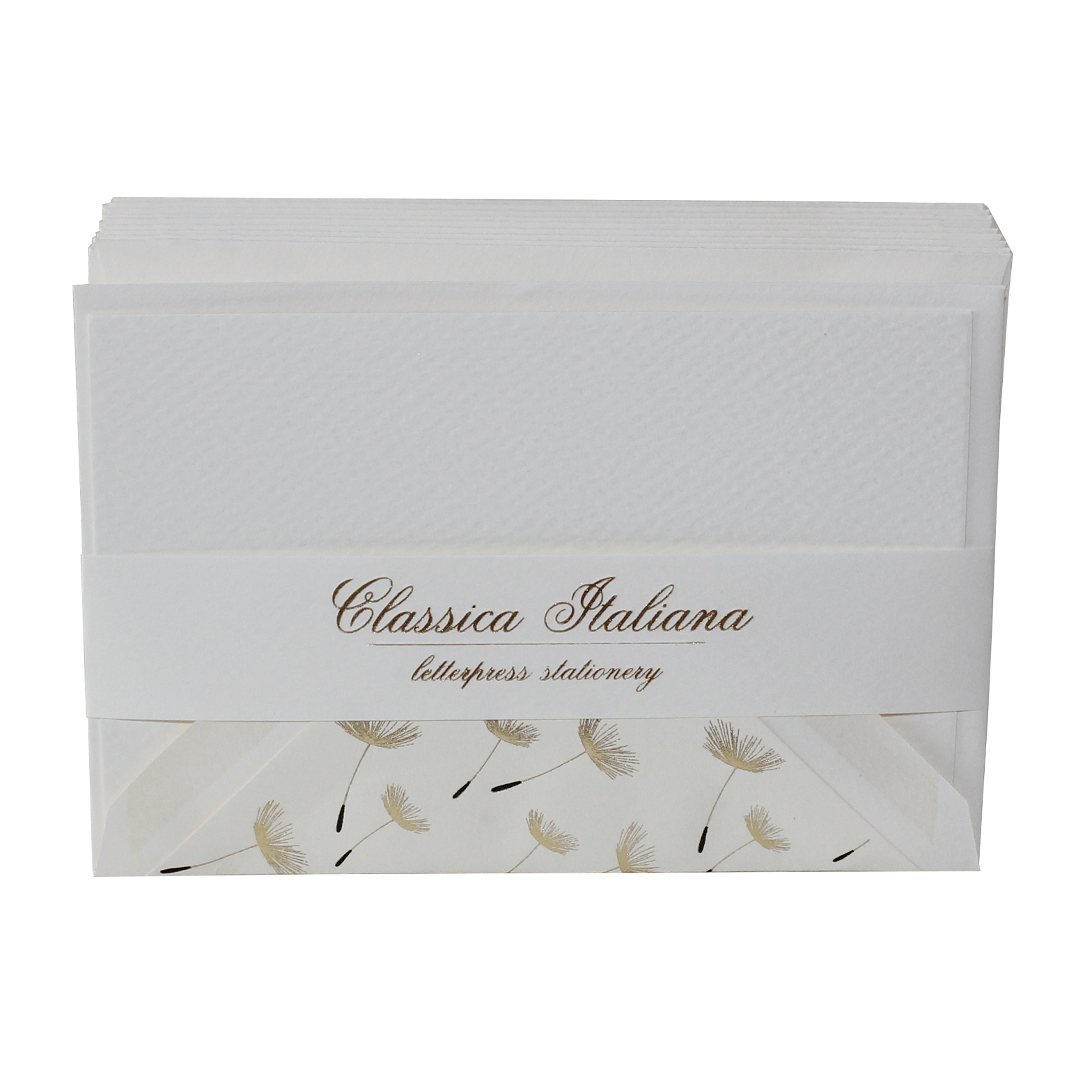 IMG_7278 klein Geschenkbox Kartenset Dente di Leone