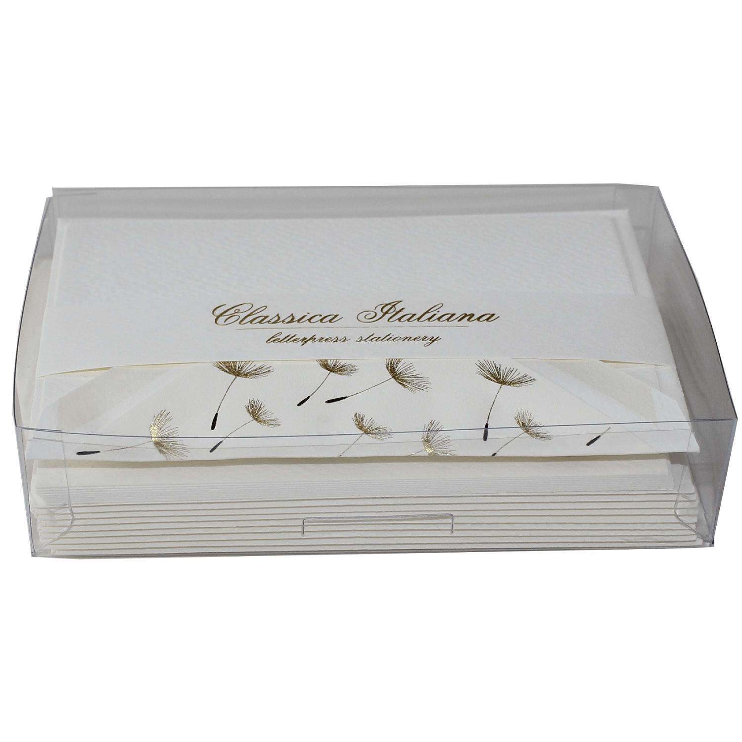 IMG_7284 klein Geschenkbox Kartenset Dente di Leone