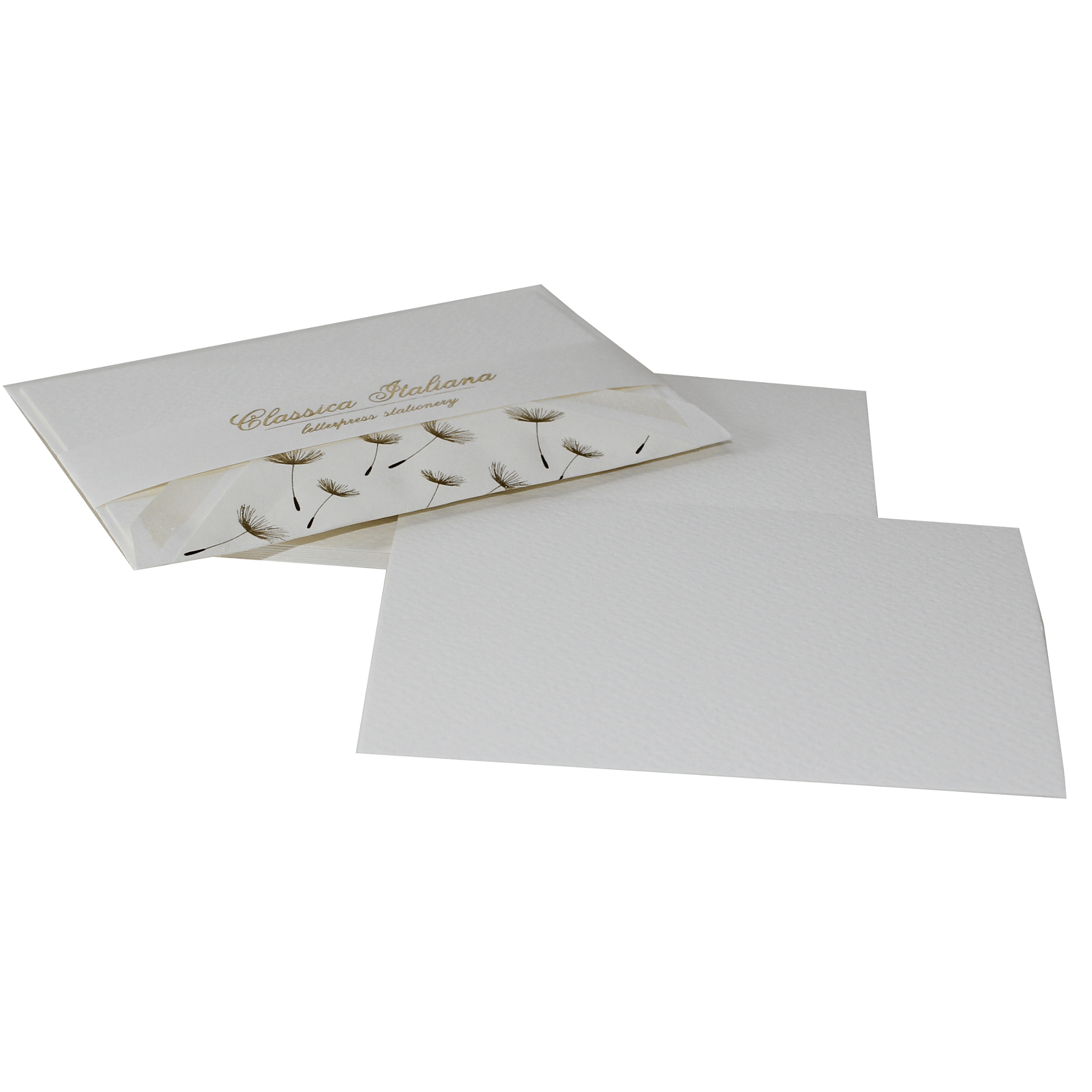 IMG_7285 klein Geschenkbox Kartenset Dente di Leone