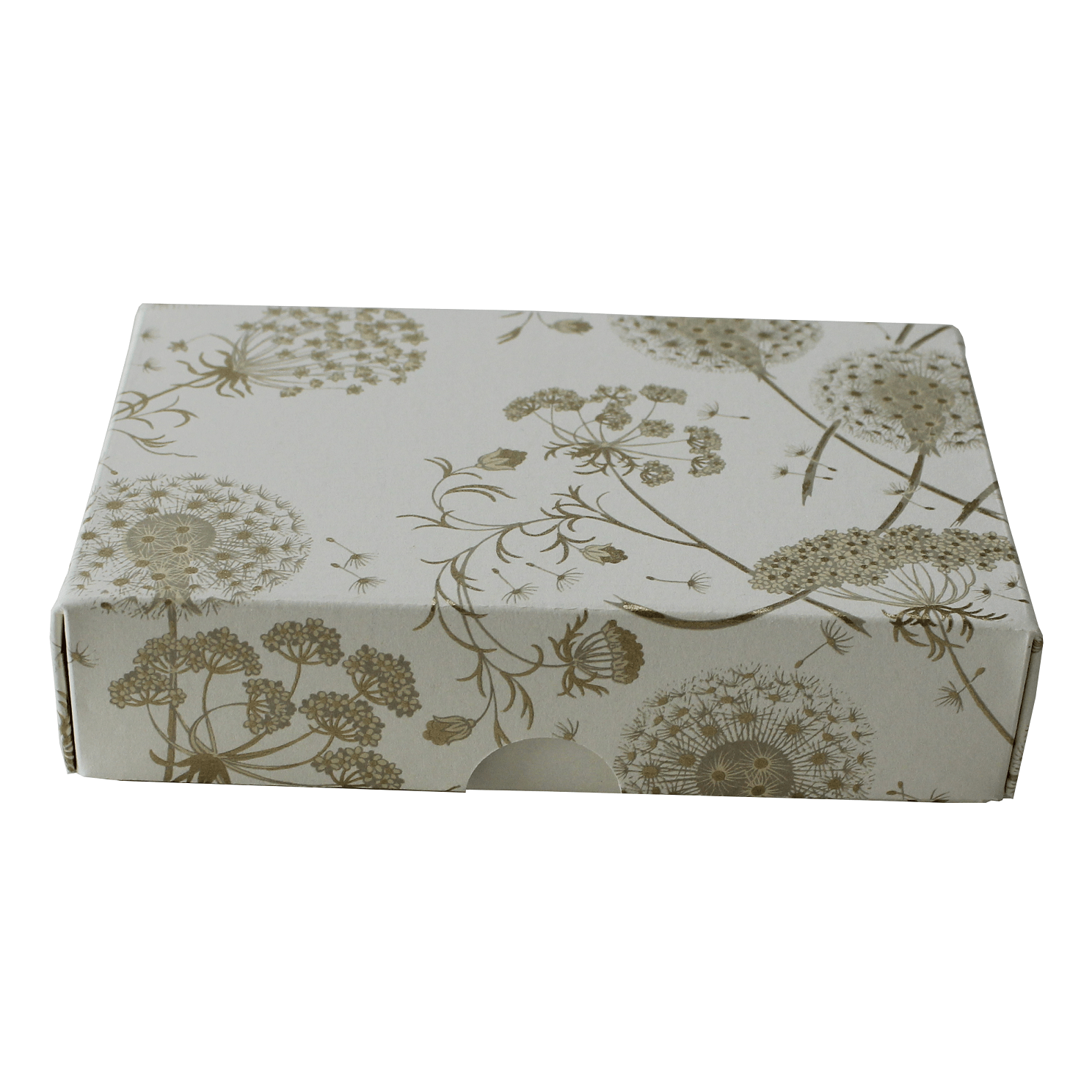 IMG_7301 klein Geschenkbox Kartenset Dandelions