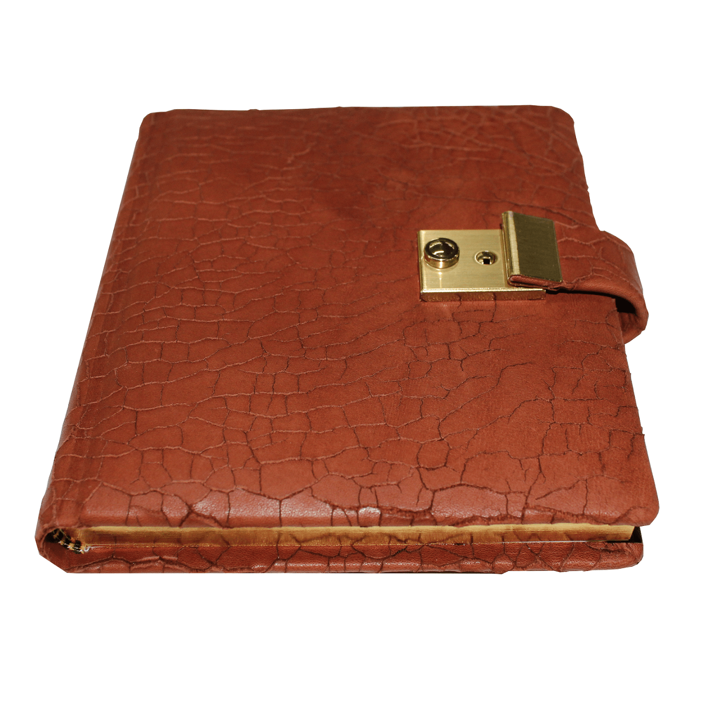 Tagebuch gebrochenes Leder (1)klein Tagebuch mit Schloss aus Nappaleder mit Goldschnittblock in Braun 6