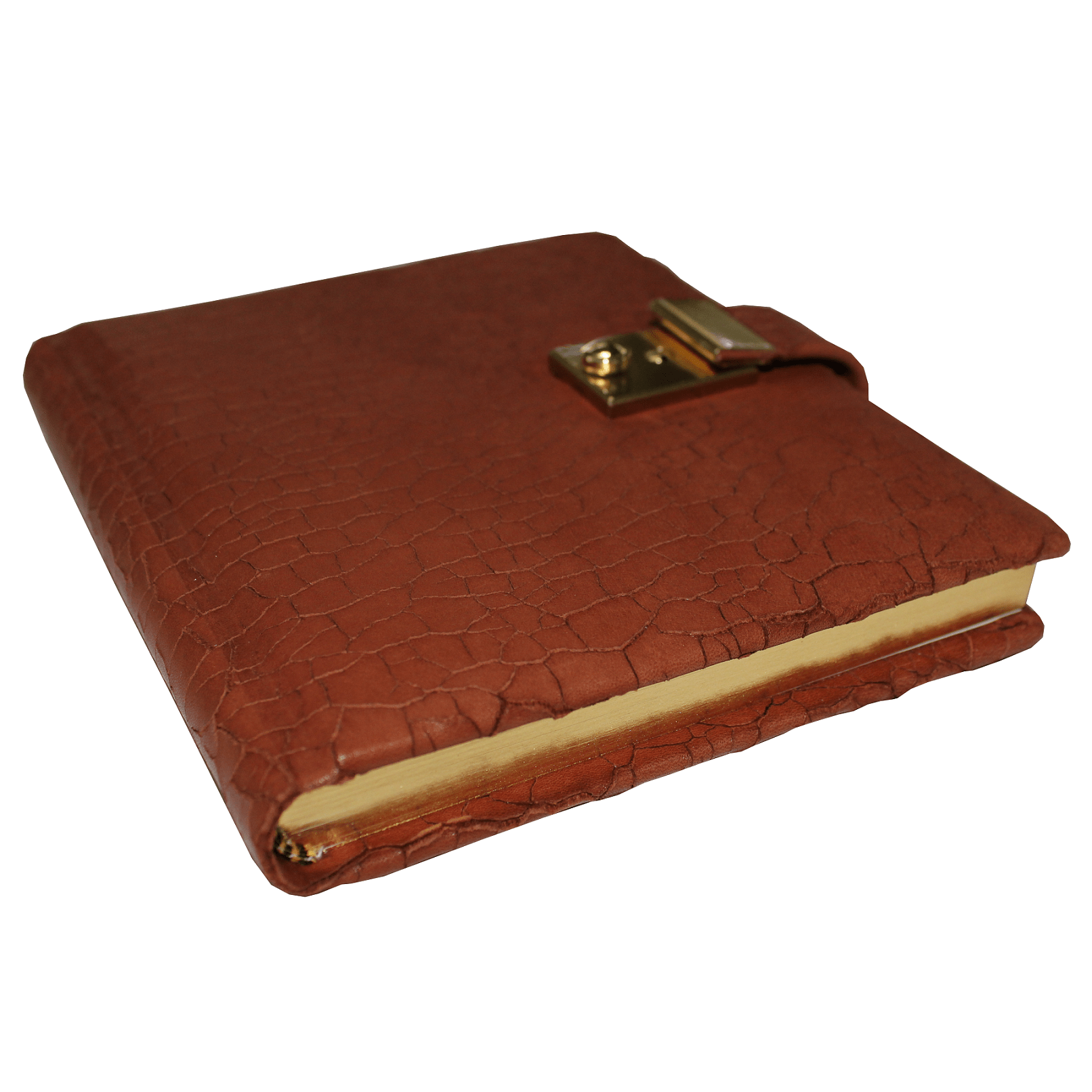 Tagebuch glattes Leder Cognac (14)klein Tagebuch mit Schloss aus Nappaleder mit Goldschnittblock in Braun 3
