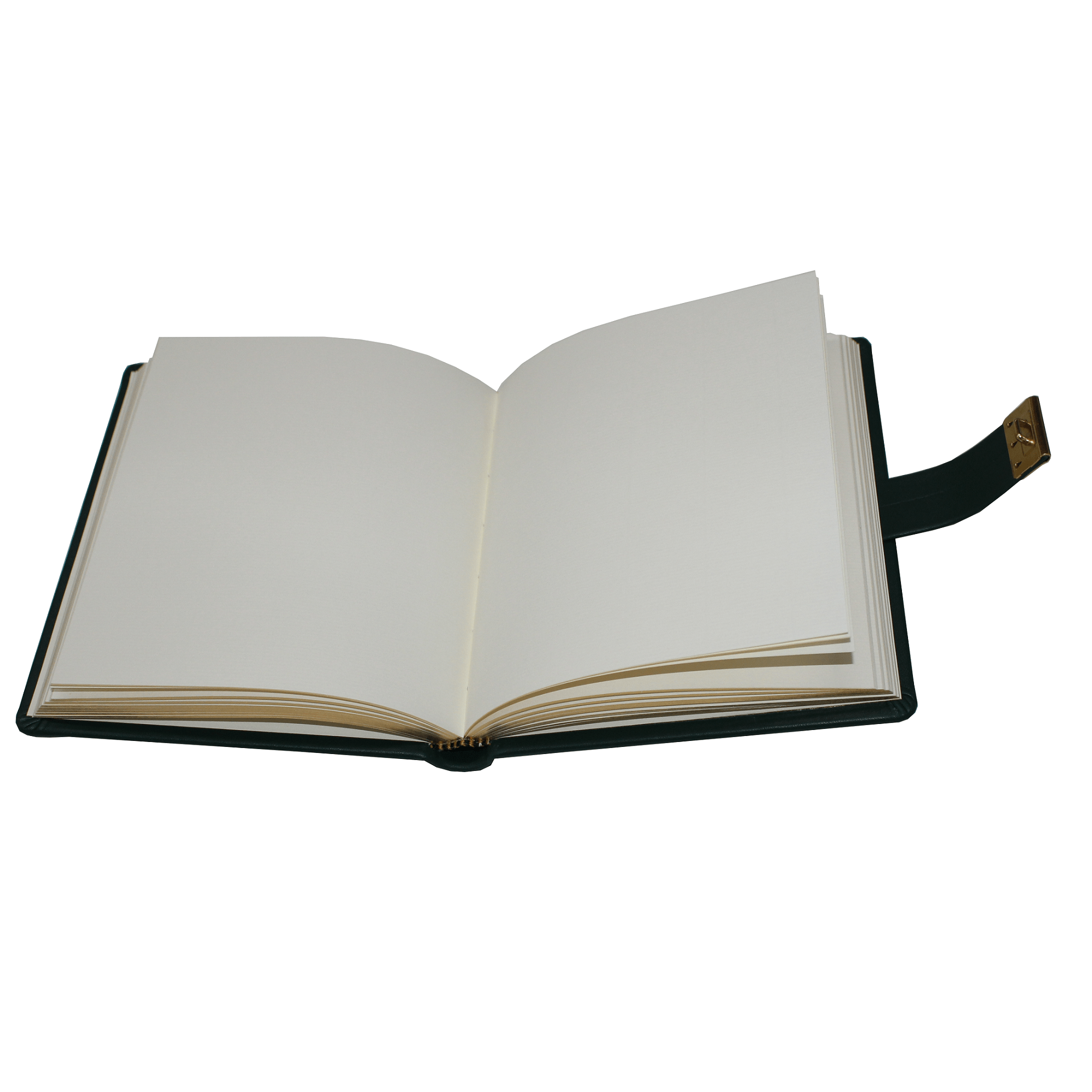 Tagebuch glattes 'Leder grün (4) klein Tagebuch mit Schloss aus glattem Leder mit Goldschnittblock in Grün mit Blankoseiten