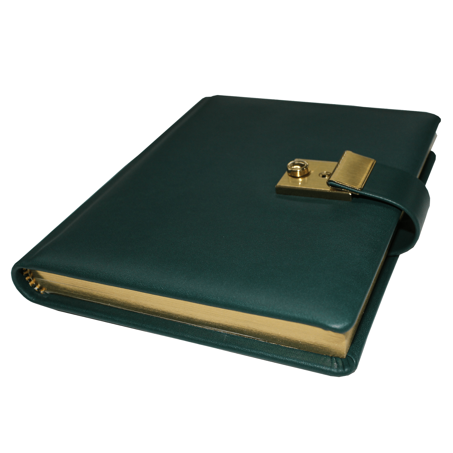 Tagebuch glattes 'Leder grün (7)klein Tagebuch mit goldenem Schloss aus glattem Leder mit Goldschnittblock in Grün