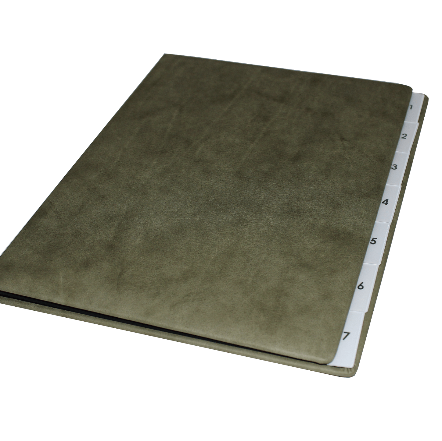 IMG_7958 1 klein Pultordner im Nappaleder Sauvage mit Register Wochentage