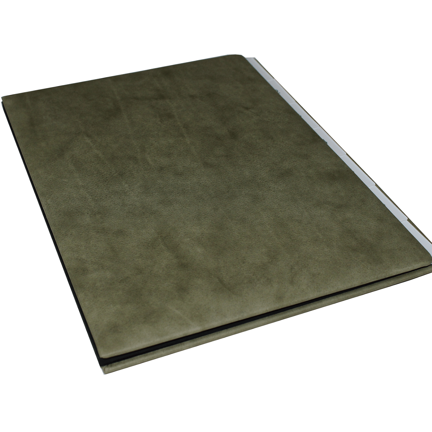 IMG_7959 1 klein Pultordner im Nappaleder Sauvage mit Wochentage-Register 1-7