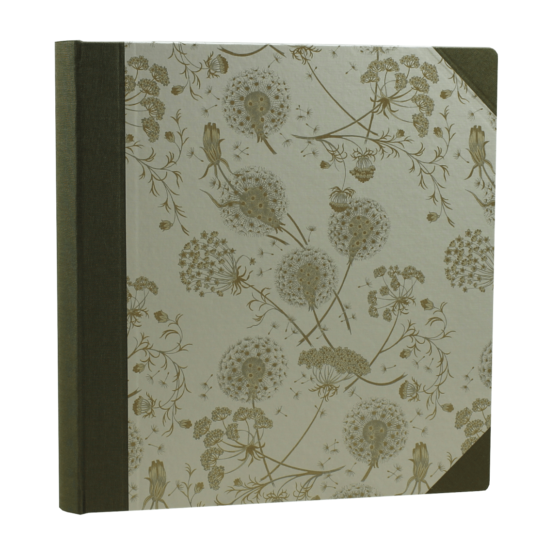 Fotoalbum Dandelions