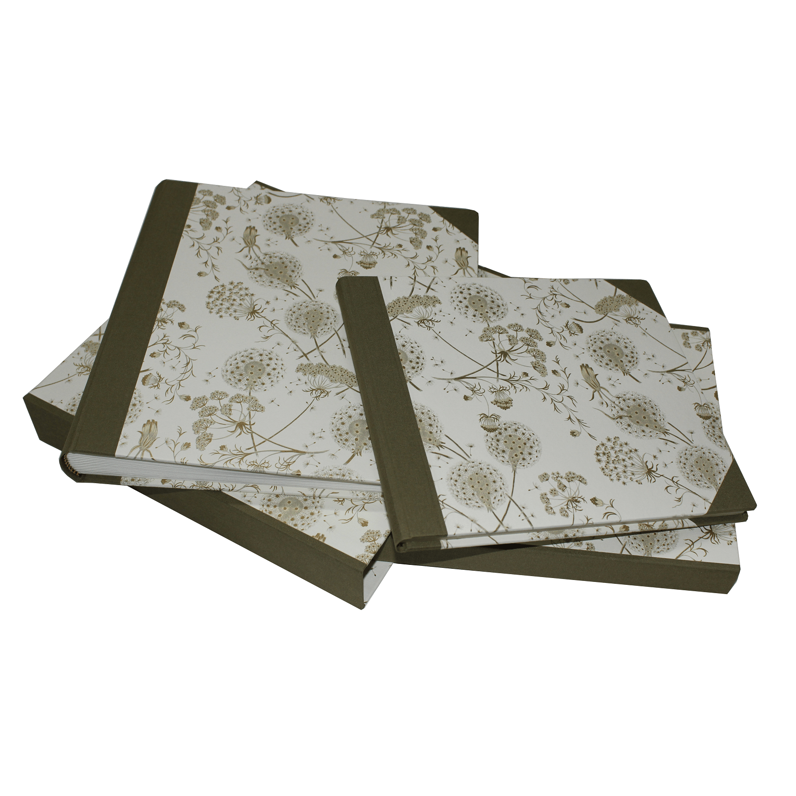 IMG_8073 freigestellt klein Kollektion Dandelions