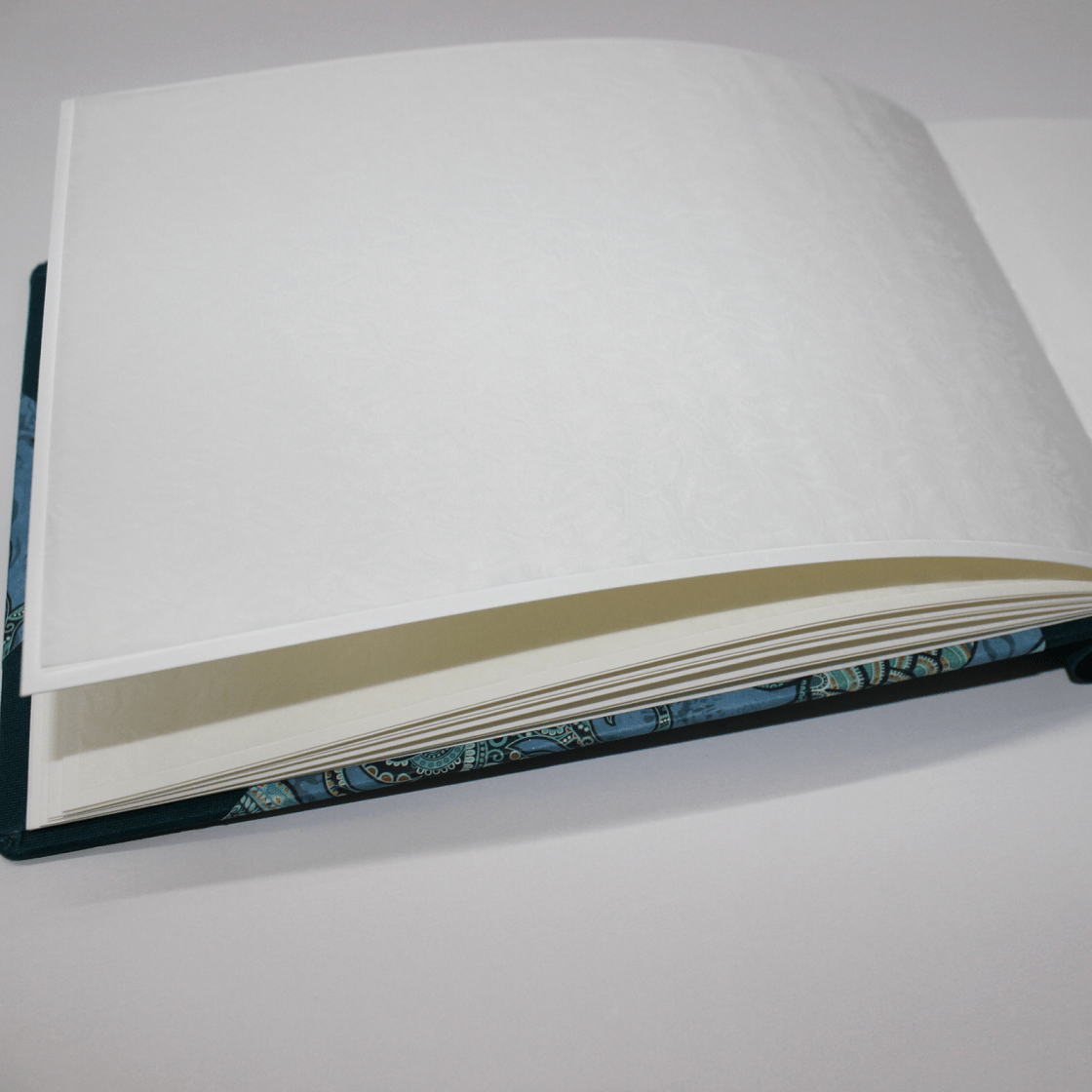 Offen Fotoalbum Meeresbewohner quer