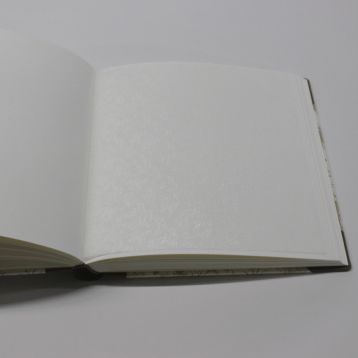 Offen Fotoalbum Dandelions