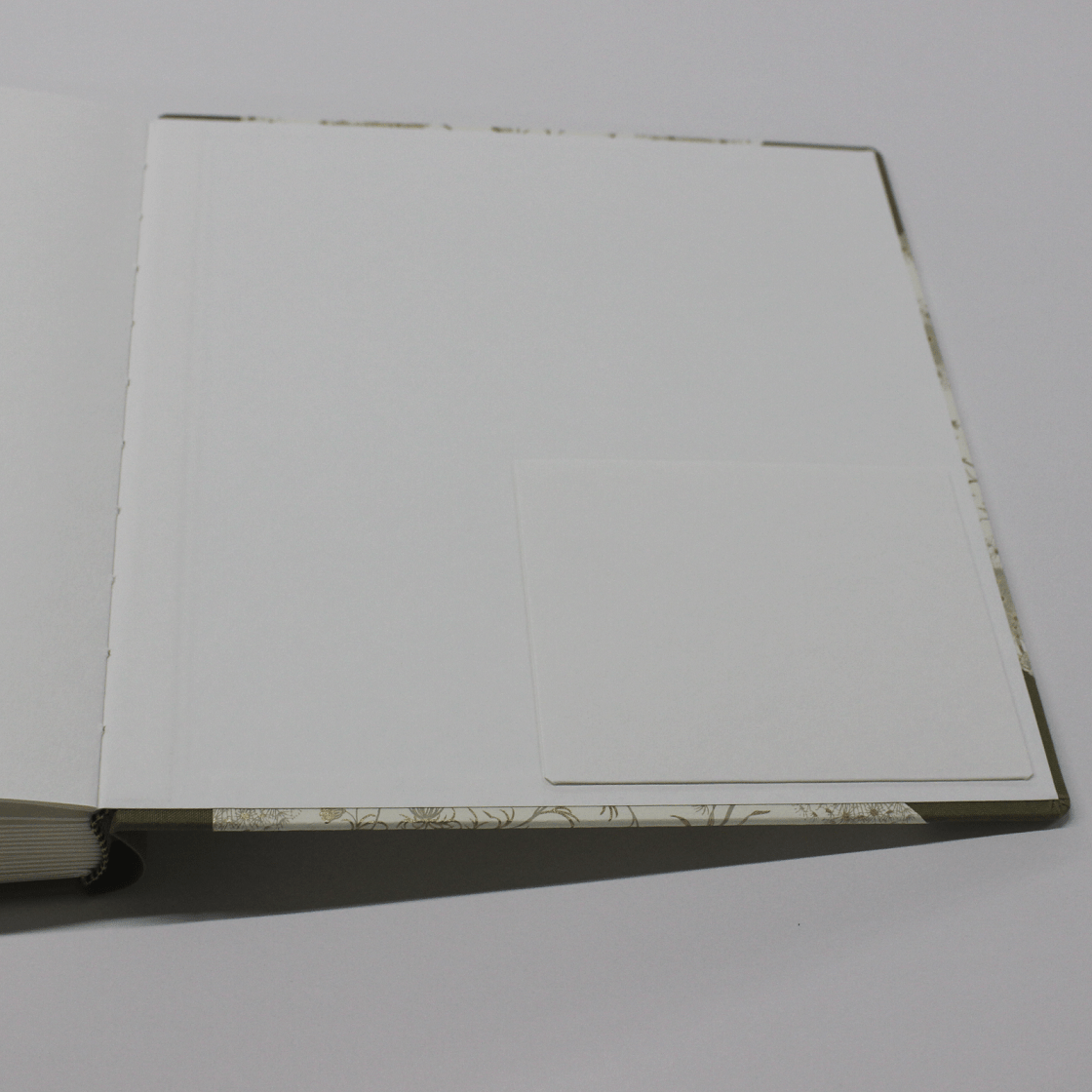 Offen+Tasche Fotoalbum Dandelions