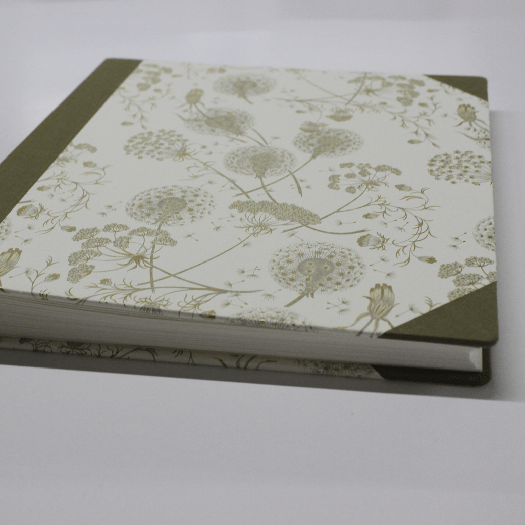 RundeEcken Fotoalbum Dandelions