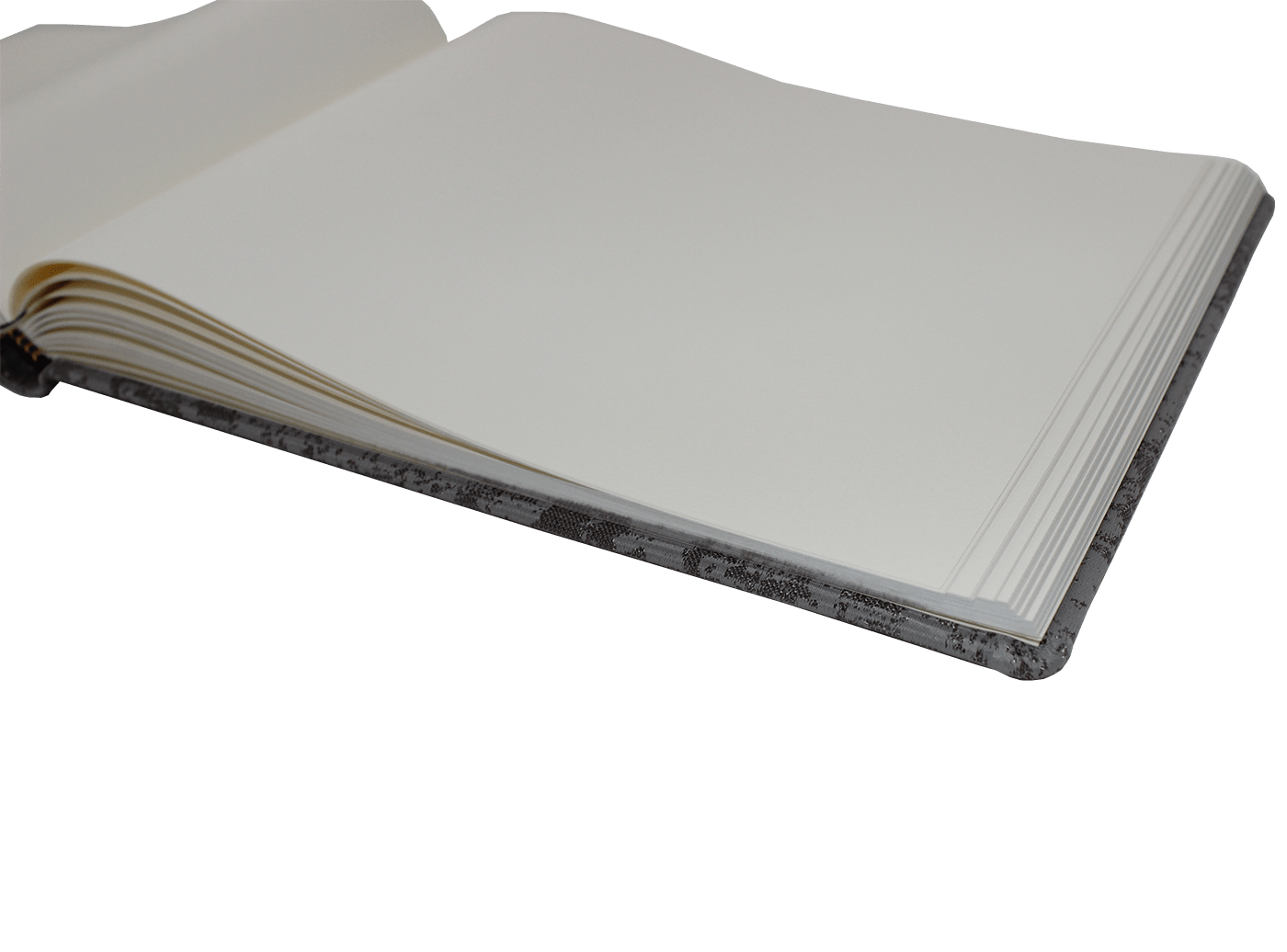 Gästebuch Hades mit Silberschnittblock