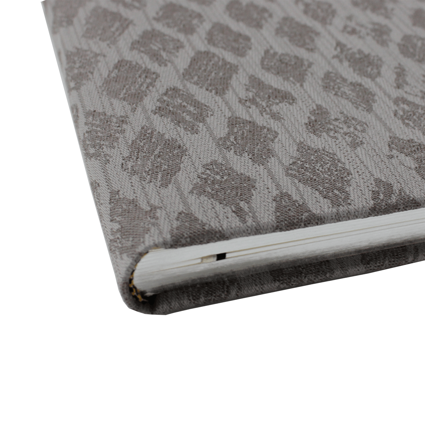 Gästebuch Ätna mit Silberschnittblock