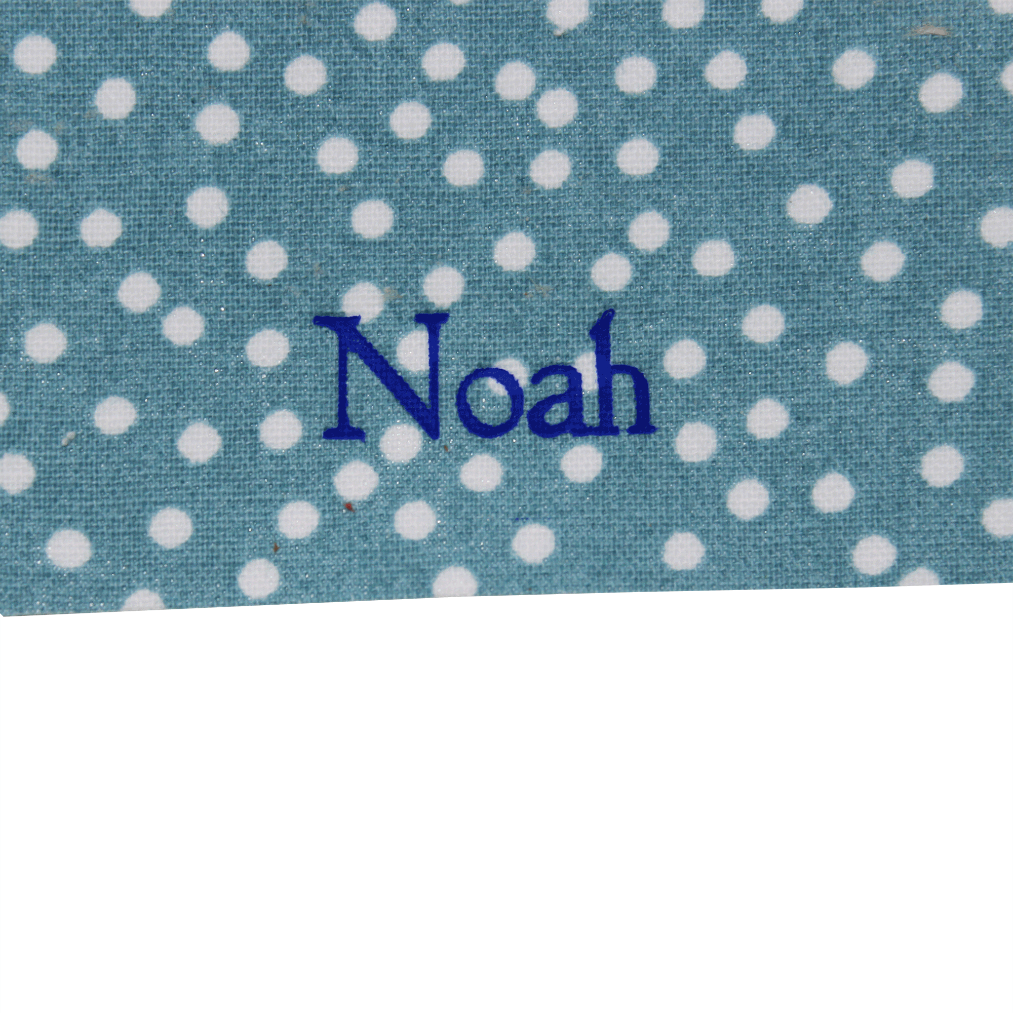 Tagebuch mit Schloss Pallino in Blau