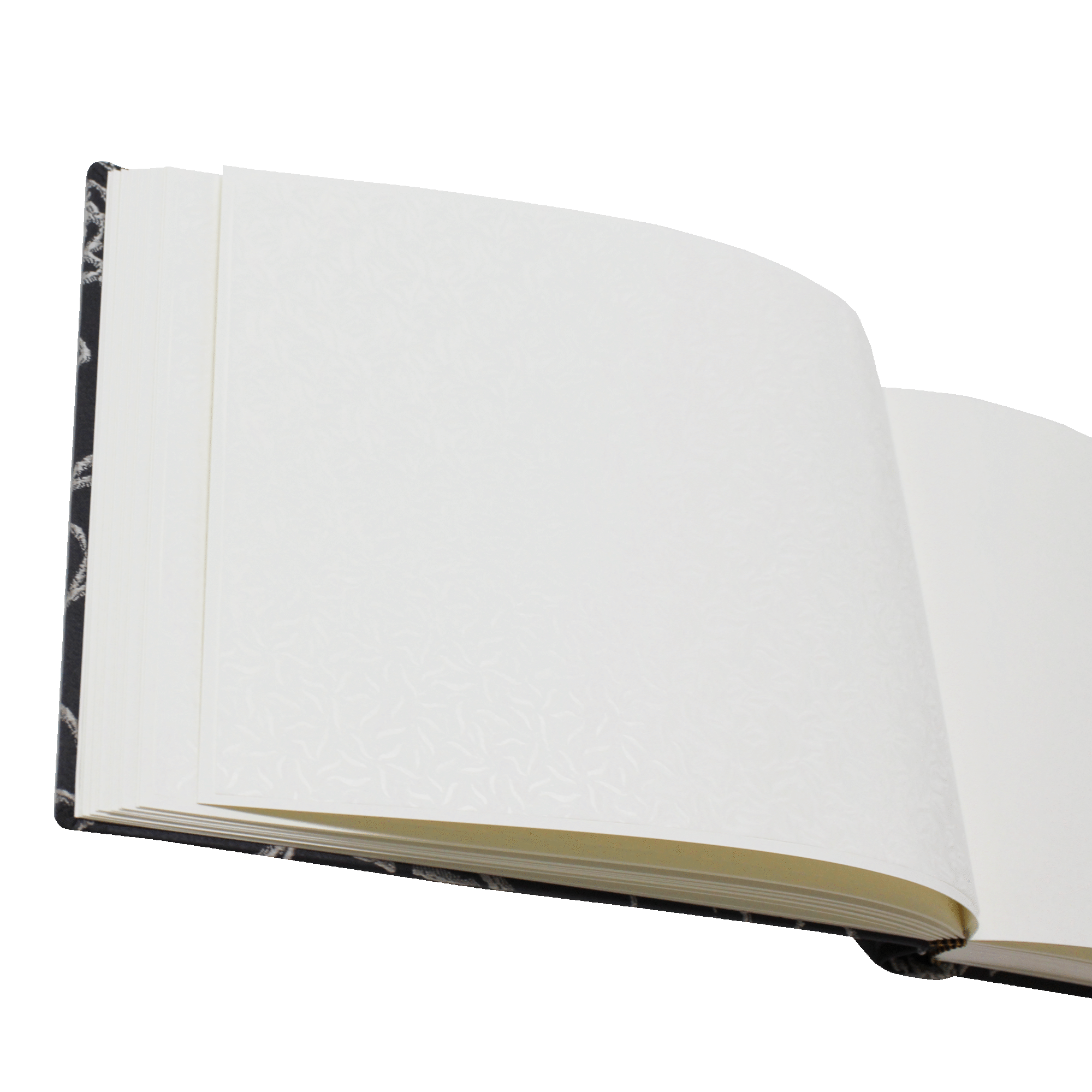 Foto-Gästebuch Corinna im Baumwoll-Seide-Einband